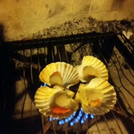 Zelena Oaza Apartment Novigrad Istria Kültér fotó
