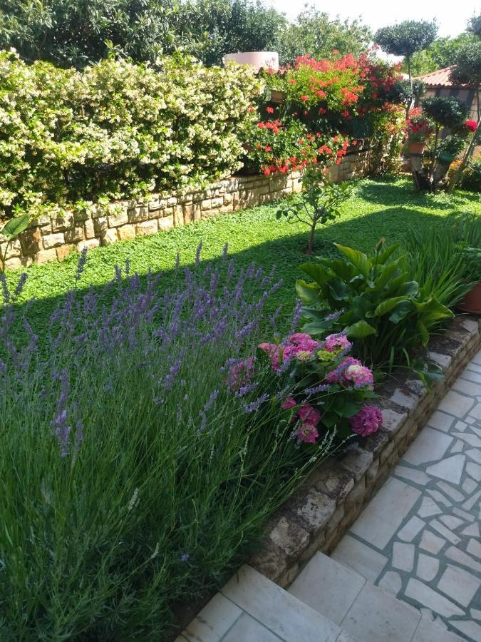 Zelena Oaza Apartment Novigrad (Istria)