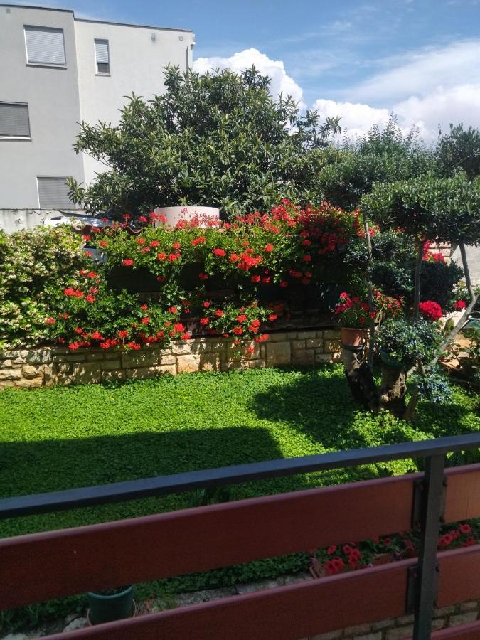 Apartment Zelena Oaza