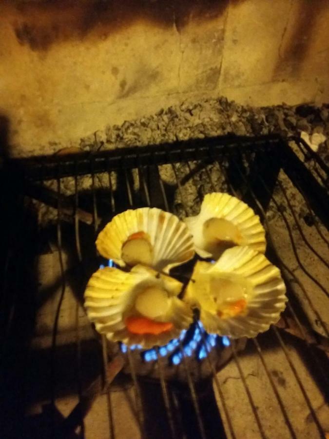 Appartamento Zelena Oaza Novigrad Istria