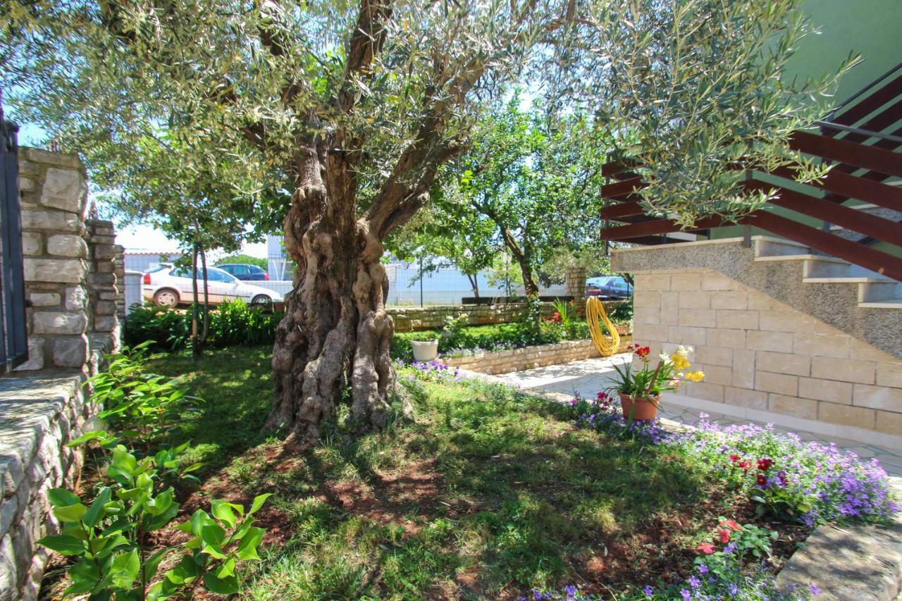 Zelena Oaza Apartment